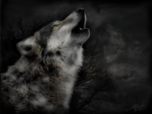 Angua HTG :neodog_flag_disabled: