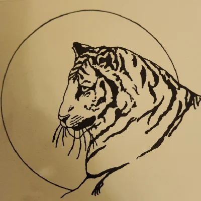 NineTiger