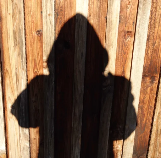 subcormoRant :bounceball: