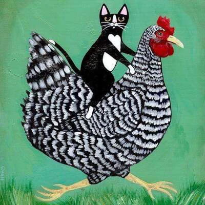ChookMother Avatar